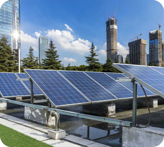 Our Services image 1